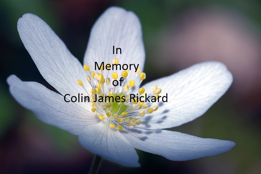 In Memory of Colin James Rickard